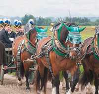 fileadmin/roha/images_galerie/brauchtum/Leonhardiritt/Holzhausen_01/BR-PFRI-HOLZ-2015-0067-1028-0928-01-D-roha-Brauchtum-Pferdeumritt-Holzhausen-Teisendorf-Leonhardiritt-Gespann-Kaltblut-Neukirchen-Bergknappen-Musikkapelle.png