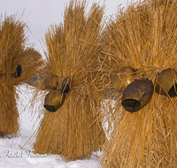 fileadmin/roha/images_galerie/brauchtum/Weihnachten-Buttnmandl/BR-WEIH-BUT-BISCH-0043-D-roha-Brauchtum-Weihnachten-Buttnmandl-Bischofswiesen-Winter-Kuhglocken.png