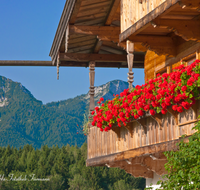 fileadmin/roha/images_galerie/Baum-natur-garten/Haus-Blumenschmuck-Deko/LANDA-BLUMENSCHM-INZ-HOLZ-0001-D-roha-Landart-Blumenschmuck-Inzell-Holzen-Geranien-Balkon.png