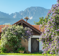 fileadmin/roha/Interessantes-in-Kurzform/ab-5-2023/LANDA-BLUMENSCHM-UFERING-0030-11-D-roha-Landart-Blumenschmuck-Bauernhaus-Enzianbaum.png