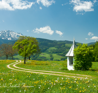 fileadmin/roha/images_galerie/orte_landschaft/Anger/Anger/Anger-Landschaft/LANDS-ANG-0041-D-roha-Landschaft-Anger-Felber-Bildstock-Zwiesel.png