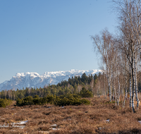 fileadmin/roha/images_galerie/orte_landschaft/Petting/Schoenramer-Moor/PE-SCHOENR-MOOR-0003-11-D-roha-Petting-Schoenramer-Moor-Weg-Fruehling-Untersberg-Schnee.png