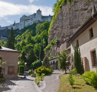 fileadmin/roha/images_galerie/orte_landschaft/Salzburg/St-Peter-Katakomben/SA-STPETER-FRIED-0016-D-roha-Salzburg-Friedhof-St-Peter-Grab-Gruft-Katakomben-Festung-Hohensalzburg.png