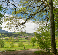 fileadmin/roha/images_galerie/orte_landschaft/Teisendorf/Oberteisendorf/TEI-OB-PAN-0003-11-D-roha-Oberteisend-Oberteisendorf-Panorama-Surtal.png