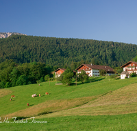 fileadmin/roha/images_galerie/orte_landschaft/Anger/Anger/AN-STOISSB-0006-D-roha-Anger-Stoissberg-Landwirtschaft-Bauernhaus-Vieh-Kapelle.png