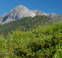 fileadmin/roha/images_galerie/orte_landschaft/Berchtesgaden/Nationalpark_Klausbachtal_Wimbachtal_-Klamm/BGD-NAT-FUNT-0005-0-01-D-roha-Berchtesgaden-Nationalpark-Funtensee-Schneiber-Blumenwiese.png