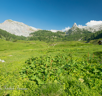 fileadmin/roha/images_galerie/orte_landschaft/Berchtesgaden/Nationalpark_Klausbachtal_Wimbachtal_-Klamm/BGD-NAT-FUNT-MES-0005-D-roha-Berchtesgaden-Nationalpark-Funtensee-Schottmalhorn-Messstation-Wetterdienst.png