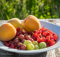 fileadmin/roha/images_galerie/kulinarisch/GAS-OBST-APR-JOH-STA-0001-D-roha-Obst-Aprikose-Stachelbeere-Johannisbeere.png