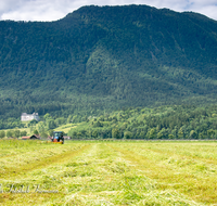 fileadmin/roha/images_galerie/orte_landschaft/Piding/LANDW-MASCH-PID-0002-D-roha-Landwirtschaft-Piding-Maehen-Schloss-Staufeneck.png