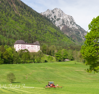 fileadmin/roha/images_galerie/orte_landschaft/Piding/PID-STAUFENECK-0032-D-roha-Piding-Staufeneck-Schloss-Hochstaufen-Landwirtschaft.png