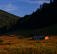 fileadmin/roha/images_galerie/orte_landschaft/Ruhpolding/RUH-ROETH-0021-D-roha-Ruhpolding-Roethelmoos-Alm-Wiese.png