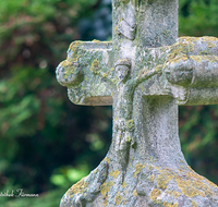 fileadmin/roha/images_galerie/orte_landschaft/Salzburg/Kolleg-Plain-Sebast-Franzis-Mich/SA-SEBAST-0003-0-01-01-D-roha-Salzburg-Sebastiani-Friedhof-Grabkreuz.png