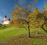 fileadmin/roha/images_galerie/orte_landschaft/Saaldorf/SAAL-SILL-0023-D-roha-Saaldorf-Sillersdorf-Kirche-St-Georg-Herbst-Nebel.png