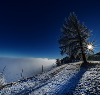 fileadmin/roha/images_galerie/stimmung-Sonne/STIM-ANG-FUERM-WI-0025-D-roha-Stimmung-Anger-Sonne-Winter-Fuermannalm.png