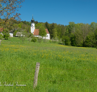 fileadmin/roha/images_galerie/orte_landschaft/Ainring/AINR-0015-D-roha-Ainring-Kirche-Obstgarten-Blumenwiese.png