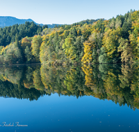 fileadmin/roha/images_galerie/orte_landschaft/Anger/Hoeglwoerth/AN-HOE-HERB-0011-D-roha-Anger-Hoeglwoerth-See-Zwiesel-Herbst-Wald-Spiegelung.png