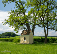 fileadmin/roha/images_galerie/kirche_religion/Laufen_-_Leobendorf/KKKM-LAUF-WIED-0001-D-roha-Kapelle-Laufen-Wiedmannsfelden.png