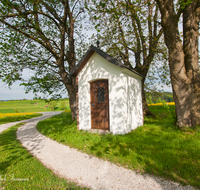 fileadmin/roha/images_galerie/kirche_religion/Weildorf/KKKM-WEIL-OBERR-0001-D-roha-Kapelle-Oberreuten-Weildorf-Wimmern-Weg-Kirschbaum.png