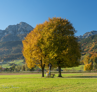 fileadmin/roha/images_galerie/orte_landschaft/Anger/Anger/LANDS-ANG-AUFH-0006-01-D-roha-Landschaft-Anger-Aufham-Hochstaufen.png