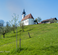 fileadmin/roha/images_galerie/orte_landschaft/Saaldorf/SAAL-SILL-0004-D-roha-Saaldorf-Sillersdorf-Kirche-St-Georg-Obst-Baum-Bluete.png