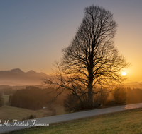 fileadmin/roha/images_galerie/stimmung-Sonne/Sonnenuntergang/SON-UN-SURB-0001-1731-D-roha-Sonnenuntergang-Saharastaub-Surberg-Neukirchen.png