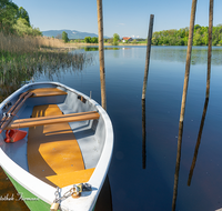 fileadmin/roha/images_galerie/orte_landschaft/Abtsdorf-Abtsdorfer-See/ABTS-SEE-BOOT-00011-D-roha-Abstdorfer-See-Steg-Boot-Wasser-Ufer.png