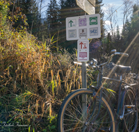 fileadmin/roha/images_galerie/Freizeit-Sport/Mountainbike-Radfahren/BGD-BISCH-HALLTH-0003-D-roha-Berchtesgaden-Bischofwiesen-Hallthurm-Wegweiser-Radl.png