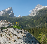 fileadmin/roha/images_galerie/orte_landschaft/Berchtesgaden/Watzmann/BGD-WATZ-0027-0-01-D-roha-Berchtesgaden-Watzmann-Gipfel-Fruehling.png