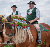 fileadmin/roha/images_galerie/brauchtum/Leonhardiritt/Holzhausen_01/BR-PFRI-HOLZ-2015-0067-1046-01-D-roha-Brauchtum-Pferdeumritt-Holzhausen-Teisendorf-Leonhardiritt-Reiterin.png