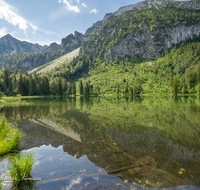 fileadmin/roha/images_galerie/orte_landschaft/Inzell/INZ-FRILL-0017-01-D-roha-Inzell-Frillensee-Zwiesel-Biotop-Naturschutz-Wasser-See.png