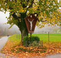 fileadmin/roha/images_galerie/kirche_religion/Anger/KKKM-ANG-WOLF-0009-D-roha-Wegkreuz-Anger-Wolfertsau-Herbst-Weg-Strasse.png