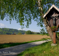 fileadmin/roha/images_galerie/kirche_religion/Teisendorf/KKKM-TEIS-RUECK-0058-D-roha-Wegkreuz-Teisendorf-Rueckstetten-Hof-Fruehling-Birke-Landwirt-Mais.png