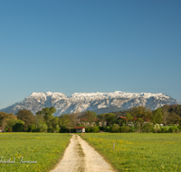 fileadmin/roha/images_galerie/orte_landschaft/Petting/LANDS-PET-0013-D-roha-Landschaft-Petting-Untersberg-Fruehling.png