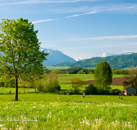 fileadmin/roha/images_galerie/orte_landschaft/Teisendorf/Weildorf/LANDS-TEIS-PATT-0001-D-roha-Landschaft-Teisendorf-Patting-Saaldorf-Untersberg-Fruehling.png