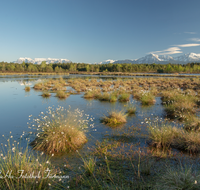 fileadmin/roha/images_galerie/orte_landschaft/Petting/Schoenramer-Moor/PE-SCHOENR-MOOR-0045-03-roha-Petting-Schoenramer-Moor-Moorsee-Untersberg-Hochstaufen-Zwiesel-Teisenberg.png