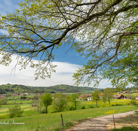 fileadmin/roha/images_galerie/orte_landschaft/Teisendorf/Oberteisendorf/TEI-OB-PAN-0003-12-D-roha-Oberteisendorf-Panorama-Surtal.png