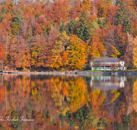 fileadmin/roha/images_galerie/orte_landschaft/Anger/Hoeglwoerth/AN-HOE-HERB-0004-D-roha-Anger-Hoeglwoerth-See-Herbst-Wald-Schwimmbad.png