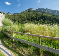 fileadmin/roha/images_galerie/orte_landschaft/Bad_Reichenhall/BAD-REI-PULV-0001-01-D-roha-Bad-Reichenhall-Pulverturm-Predigtstuhl-Blumenwiese.png