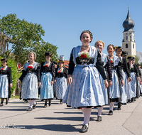 fileadmin/roha/images_galerie/orte_landschaft/Ainring/Trachtenfest/BR-FEST-FELDK-TRACH-2019-08-18-1137-03-D-roha-Brauchtum-Fest-Feldkirchen-Trachtenverein-Ainring-Festzug.png