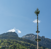 fileadmin/roha/images_galerie/brauchtum/Maibaum/Reichenhall-Marzoll-Schoenram/BR-MAIB-BAD-REI-FL-0001-D-roha-Maibaum-Bad-Reichenhall-Florianiplatz.png