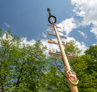 fileadmin/roha/images_galerie/brauchtum/Maibaum/BR-MAIB-FREIL-0030-D-roha-Brauchtum-Maibaum-Freilassing.png