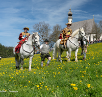 fileadmin/roha/images_galerie/brauchtum/Leonhardiritt/Traunstein-Georgiritt/BR-PFRI-TRAUNST-2019-1051-0-01-D-M-roha-Brauchtum-Pferdeumritt-Georgiritt-Traunstein-Ettendorfer-Kircherl.png