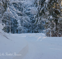 fileadmin/roha/images_galerie/wege/WEGE-WINT-FRIL-0002-D-roha-Weg-Winter-Frillensee-Inzell-Schnee-Wald.png