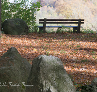 fileadmin/roha/images_galerie/orte_landschaft/Teisendorf/Geo-Park-Lehrpfad/TEI-GEOL-GAR-0011-D-roha-Teisendorf-Geologischer-Garten-Findlinge-Steine-Laub-Buche-Eiche-Bank.png