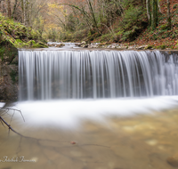 fileadmin/roha/images_galerie/wasser/WAS-WILDB-STOISS-0024-D-roha-Wasser-Wildbach-Stoisser-Ache-Anger-Herbst.png