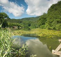 fileadmin/roha/images_galerie/orte_landschaft/Anger/Hoeglwoerth/AN-HOE-0054-8-6-D-roha-Anger-Hoeglwoerth-Wasser-See-Rose-Steg.png