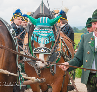 fileadmin/roha/images_galerie/brauchtum/Leonhardiritt/Holzhausen_01/BR-PFRI-HOLZ-2015-0067-1028-0928-02-D-roha-Brauchtum-Pferdeumritt-Holzhausen-Teisendorf-Leonhardiritt-Gespann-Kaltblut-Neukirchen-Bergknappen-Musikkapelle.png