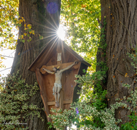 fileadmin/roha/images_galerie/kirche_religion/Teisendorf/KKKM-TEIS-WOLFGR-0021-06-D-roha-Wegkreuz-Teisendorf-Wolfgrub-Linde-Sonne.png