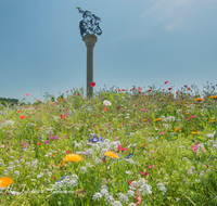 fileadmin/roha/images_galerie/orte_landschaft/Siegsdorf/LANDA-KUNST-SIEG-ANG-0005-D-roha-Landart-Kunst-Siegsdorf-Frasstechnik-Angerer-der-Juengere.png