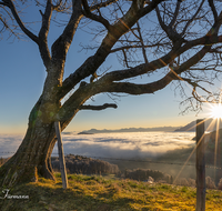 fileadmin/roha/Interessantes-in-Kurzform/ab-4-2021/SO-AU-ANG-STOISSB-0002-0807-D-roha-Sonnenaufgang-Anger-Stoissberg-Neuhaus-Baum.png